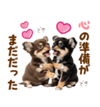 毎日使える！感情豊かで可愛いチワワ（個別スタンプ：27）