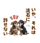 毎日使える！感情豊かで可愛いチワワ（個別スタンプ：32）