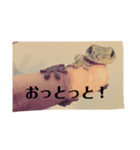 有鱗目！可愛くて使いやすい日常スタンプ（個別スタンプ：4）