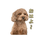 ラキとクク（個別スタンプ：1）