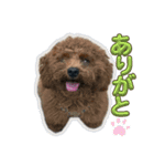 ラキとクク（個別スタンプ：5）