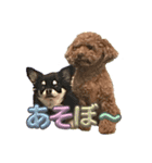 ラキとクク（個別スタンプ：7）