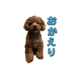 ラキとクク（個別スタンプ：11）