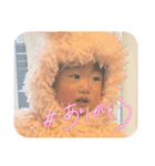 はるのひび（個別スタンプ：5）