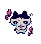 まえぱちすたんぷ（個別スタンプ：12）