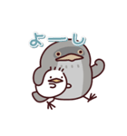 ガマグチヨタカの日常色々（個別スタンプ：16）