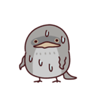 ガマグチヨタカの日常色々（個別スタンプ：22）