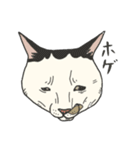 ポルコレ2025cats（個別スタンプ：1）