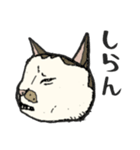 ポルコレ2025cats（個別スタンプ：4）