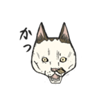 ポルコレ2025cats（個別スタンプ：7）