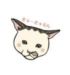 ポルコレ2025cats（個別スタンプ：8）