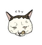 ポルコレ2025cats（個別スタンプ：9）