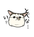 ポルコレ2025cats（個別スタンプ：10）