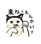 ポルコレ2025cats（個別スタンプ：11）