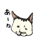 ポルコレ2025cats（個別スタンプ：14）