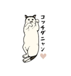 ポルコレ2025cats（個別スタンプ：15）