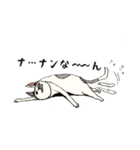 ポルコレ2025cats（個別スタンプ：18）