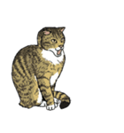 ポルコレ2025cats（個別スタンプ：31）