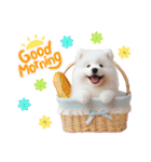 かわいいサモエドの犬スタンプ（個別スタンプ：1）