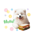 かわいいサモエドの犬スタンプ（個別スタンプ：2）