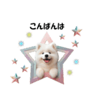 かわいいサモエドの犬スタンプ（個別スタンプ：3）