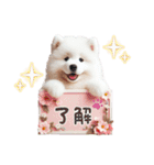 かわいいサモエドの犬スタンプ（個別スタンプ：8）