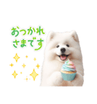 かわいいサモエドの犬スタンプ（個別スタンプ：13）