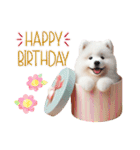 かわいいサモエドの犬スタンプ（個別スタンプ：15）