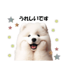 かわいいサモエドの犬スタンプ（個別スタンプ：18）