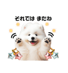 かわいいサモエドの犬スタンプ（個別スタンプ：29）