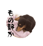おもしろおちびちゃん達（個別スタンプ：16）