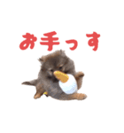 おもしろおちびちゃん達（個別スタンプ：29）