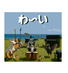 仲良し三匹、音楽祭編（個別スタンプ：7）