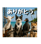 仲良し三匹、音楽祭編（個別スタンプ：15）