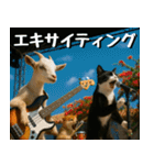 仲良し三匹、音楽祭編（個別スタンプ：21）