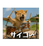 仲良し三匹、音楽祭編（個別スタンプ：22）