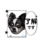 ペロちゃんとお友達2（個別スタンプ：3）