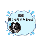 ペロちゃんとお友達2（個別スタンプ：11）