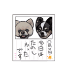 ペロちゃんとお友達2（個別スタンプ：14）
