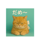 まるっとふわっと愛を伝えるネコ（個別スタンプ：20）