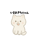 【毎日使える】しろまるにゃんのいちにち2（個別スタンプ：25）