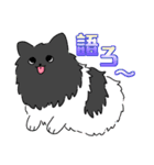 まいにちパーティー（個別スタンプ：38）