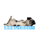 れおとてり5（個別スタンプ：7）