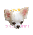 れおとてり5（個別スタンプ：8）