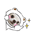 れおとてり5（個別スタンプ：14）