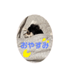 れおとてり5（個別スタンプ：22）