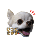 れおとてり5（個別スタンプ：26）
