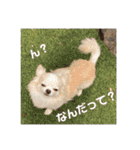 れおとてり5（個別スタンプ：30）