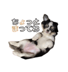 れおとてり5（個別スタンプ：32）