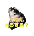 れおとてり5（個別スタンプ：38）